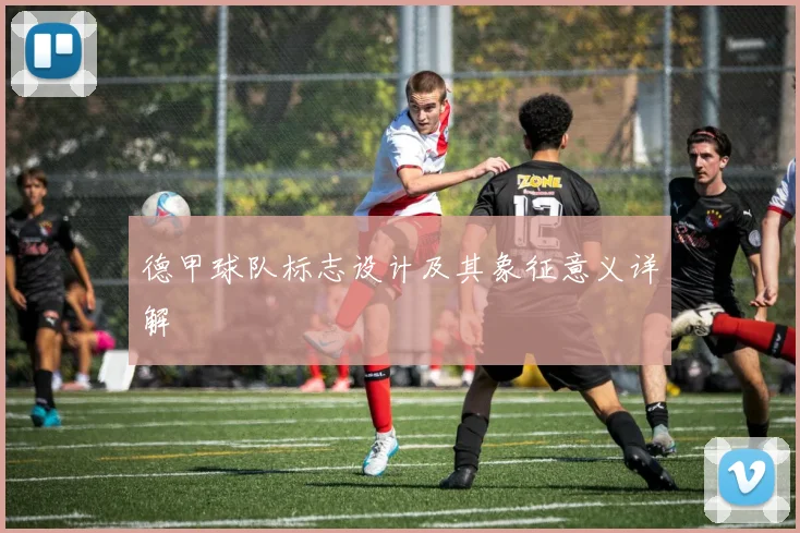 德甲球队标志设计及其象征意义详解