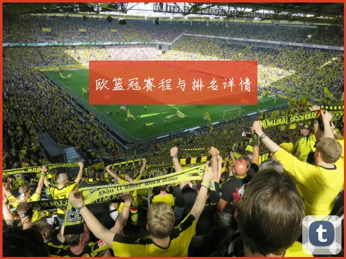 欧篮冠赛程与排名详情