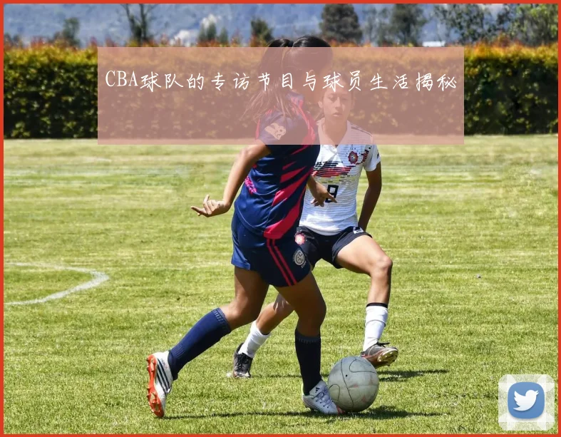 CBA球队的专访节目与球员生活揭秘