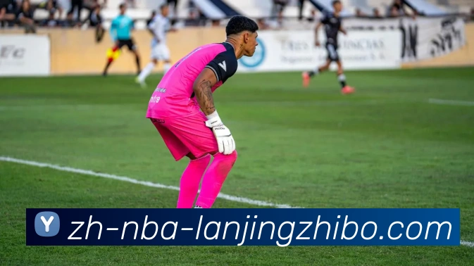 蓝鲸体育服务体系