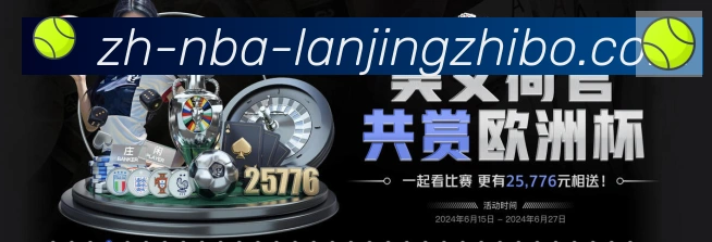 未来规划